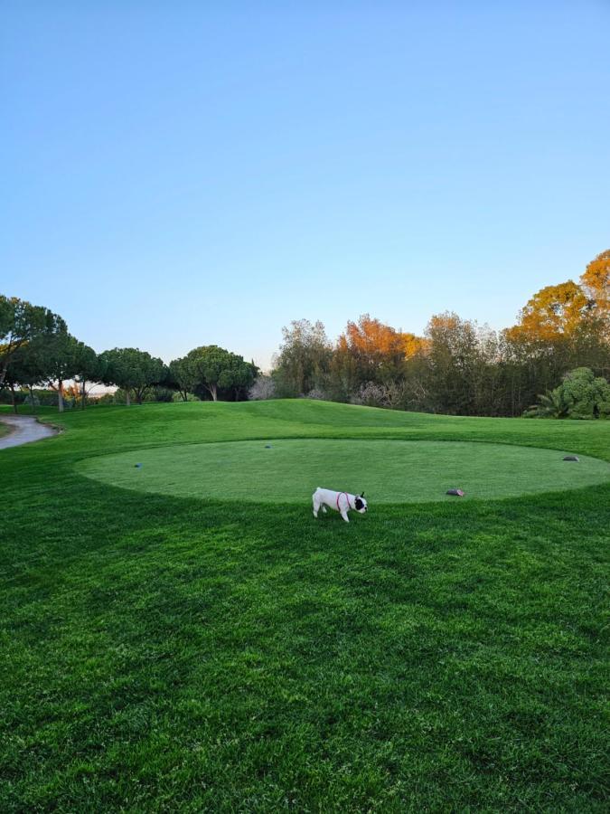Citadela I, Golfe, Pool And Falesia Beach Vilamoura Bagian luar foto